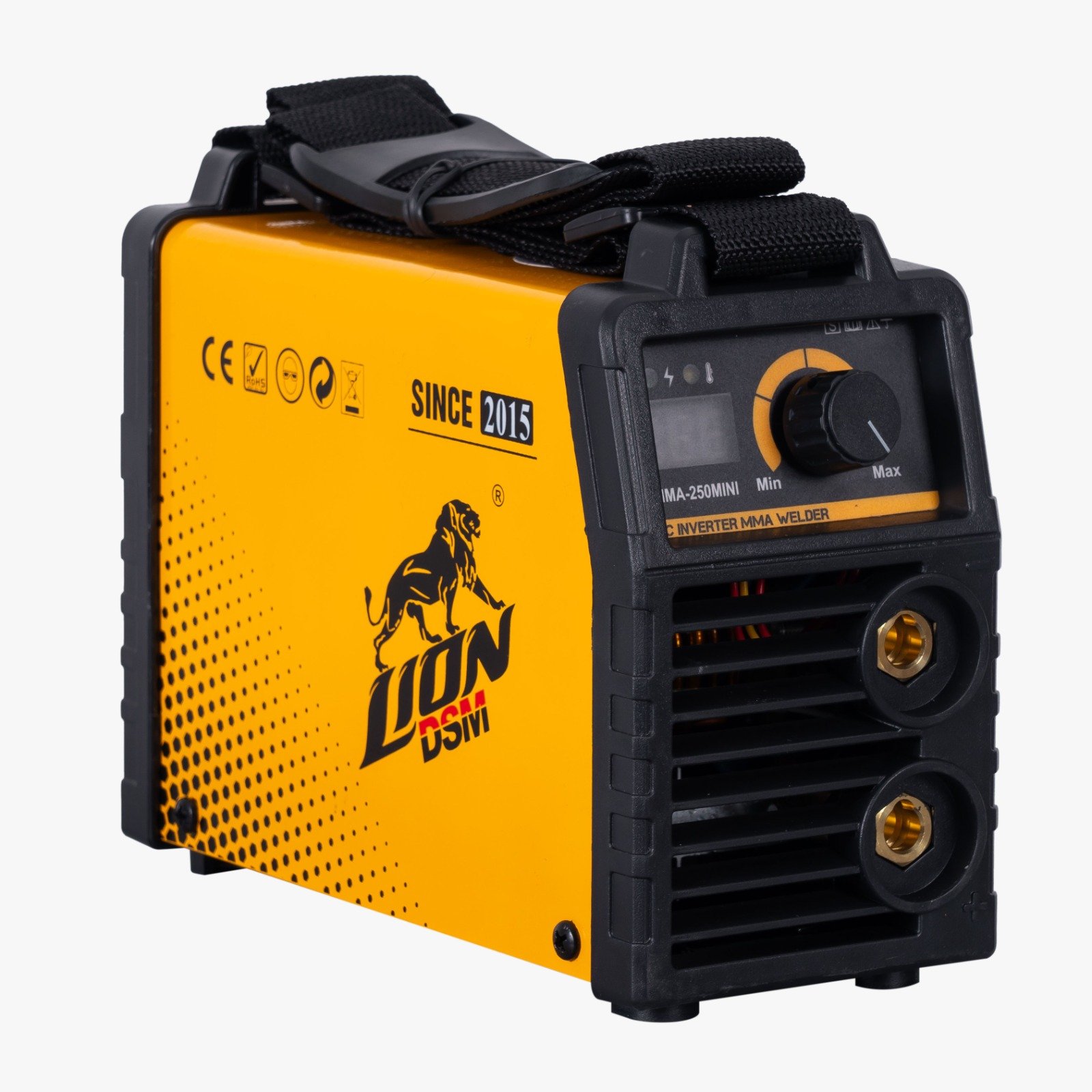 MMA-250 MINI LION WELDING