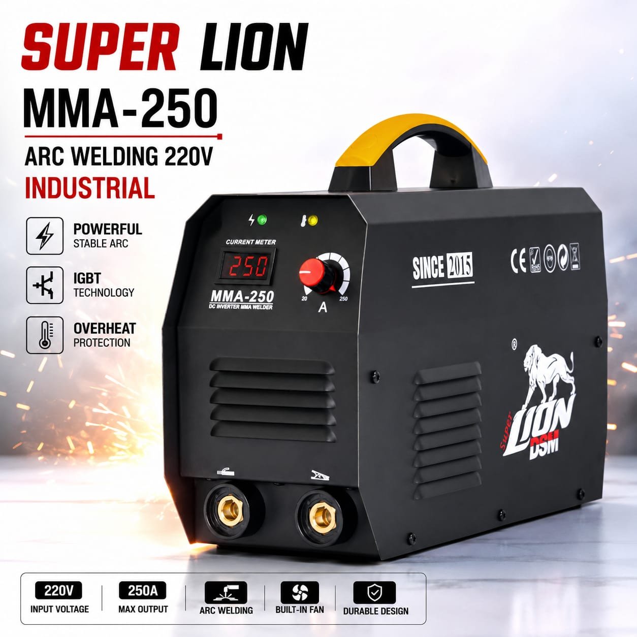 SUPER LION MMA-250 ARC WELDIDNG 220V INDUSTRIAL